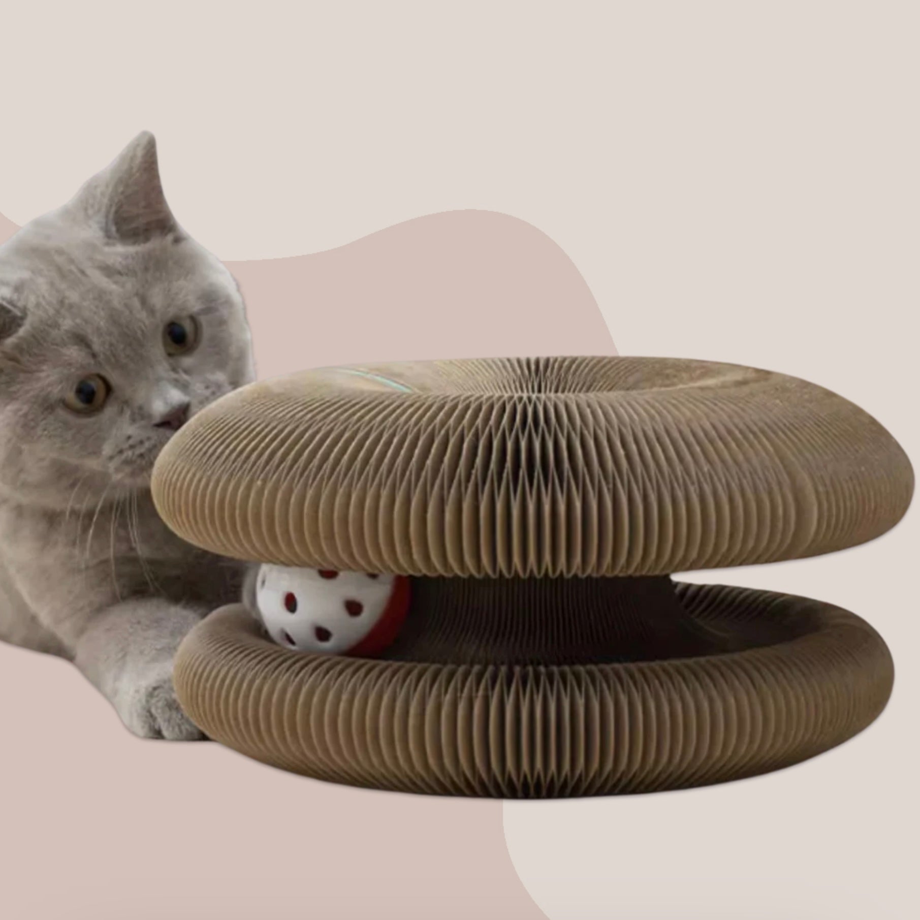 LeapKitty: Elevate Your Cats World, Premium Toys and Grooming 
