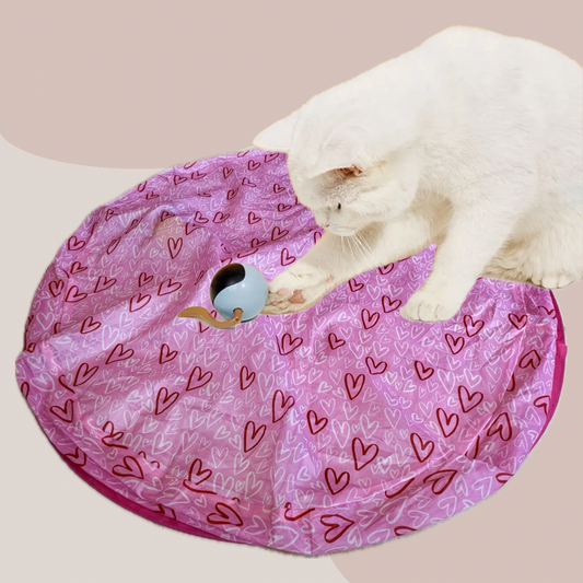LeapKitty: Elevate Your Cats World, Premium Toys and Grooming 